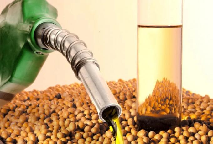 La producción de biodiesel por la sequía llego a los niveles de 2008