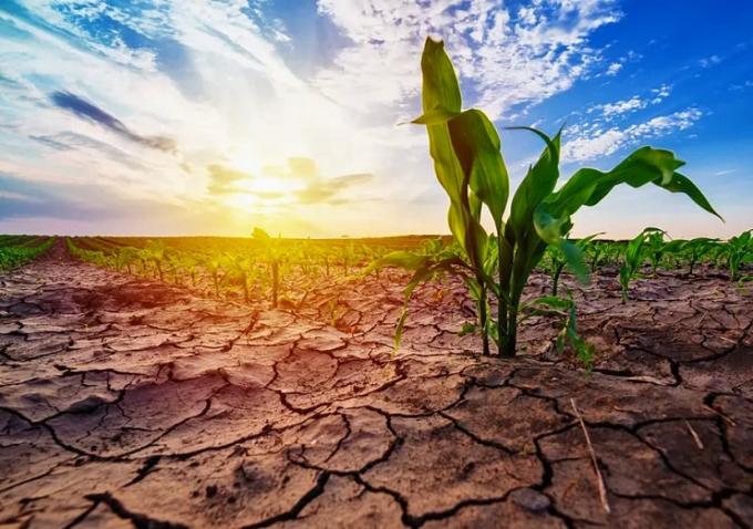 Pronostican que el fenómeno Niña volverá para la primavera o el verano