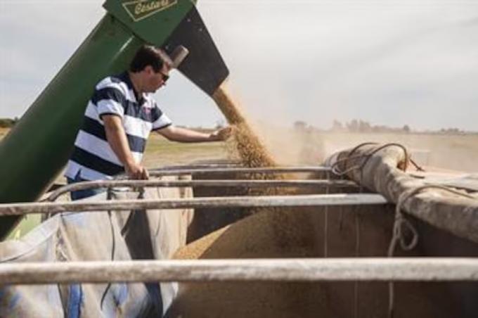 Alivio para el Gobierno: hasta agosto próximo el agro podría aportar US$10.000 millones