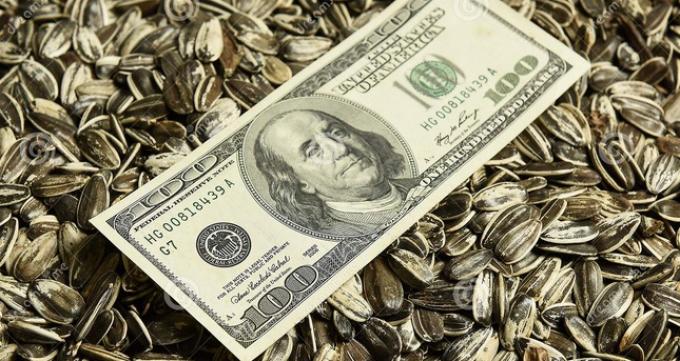 Precios que no convencen. El ritmo de comercialización de girasol sigue en cámara lenta