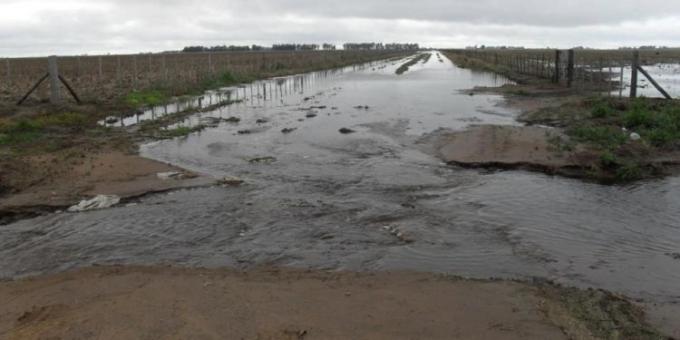 Sin caminos rurales no hay agrodivisas. Se derrumbó el ingreso de camiones con granos a los puertos