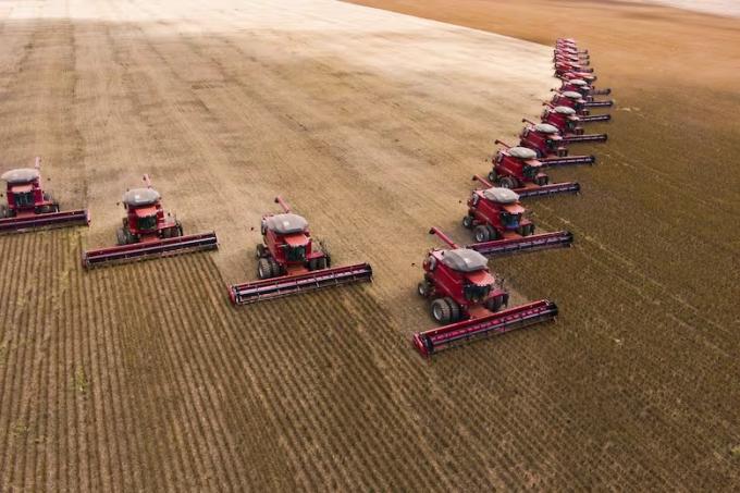 Agravan la situación reportan importantes pérdidas en la recta final de la campaña agrícola