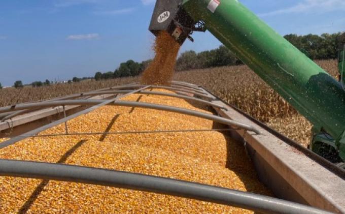 Los agroexportadores dicen que se corre peligro de perder el 60% de los mercados para el maíz por el uso indebido de un agroquímico