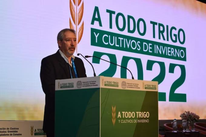 Tenemos la oportunidad un experto habló del trigo y dejó un mensaje para la nueva campaña
