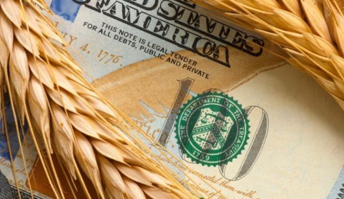 Estás esperando una recomposición del precio del trigo para poder vender No tenemos buenas noticias para darte