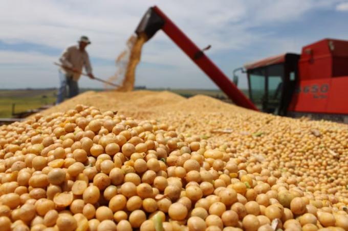 Noticia muy esperada se esperan buenas condiciones para retomar la cosecha de soja