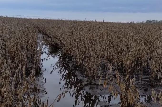 Bomba de agua una zona perdió 1000 milímetros en los últimos tres años y ahora marcó un récord de lluvias