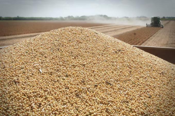 Dólares en lo que va del año la agroexportación trajo un 23% más de divisas, pero abril encendió una alarma