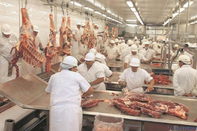 Carne vacuna los envios al exterior crecieron un 25,1% interanual en el primer trimestre del año