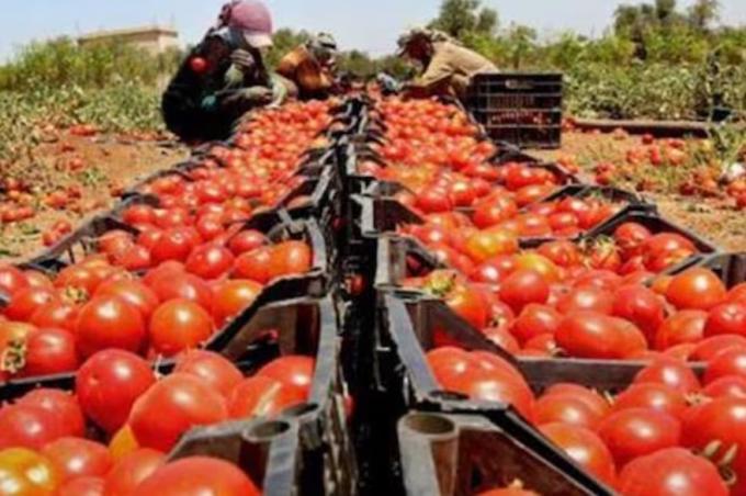 Retroceso y alerta se apagó el boom de un alimento que era sensación en una provincia