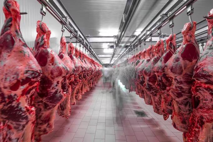 Dulce espera la Argentina aguarda un gesto de China por más de una decena de frigoríficos exportadores