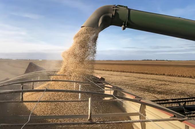 Encuesta siete de cada diez productores necesitarán vender más de la mitad de su producción para afrontar los costos