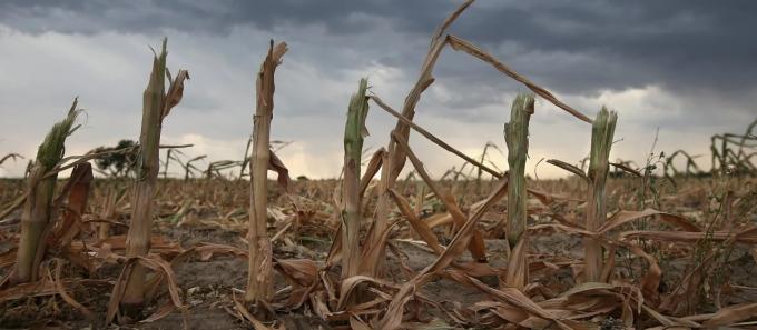 Se prevé que El Niño dé paso a La Niña este mismo año