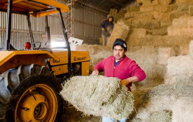 Está perdiendo. El Banco Mundial alertó sobre un freno en las exportaciones del agro mientras otros países crecieron