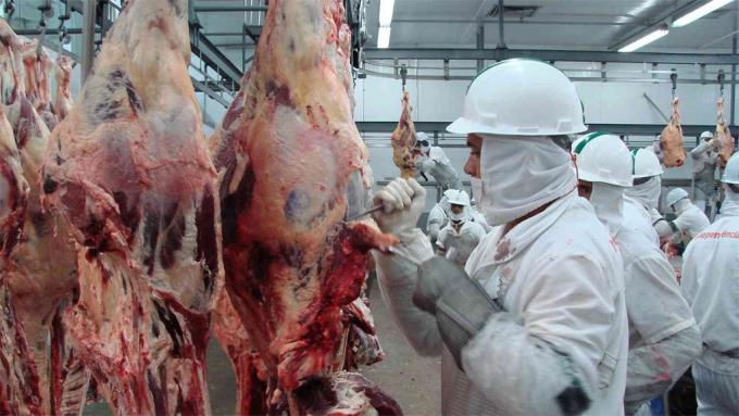 Subieron las exportaciones de carne y bajaron los precios en el mercado de Cañuelas