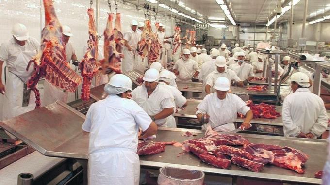 Cayó la producción de carne vacuna en los cinco primeros meses del año