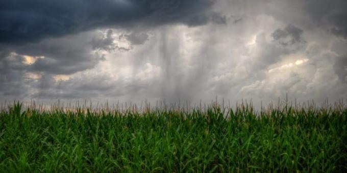 La semana que viene se pronostican tormentas en el NEA y el sur de la región pampeana