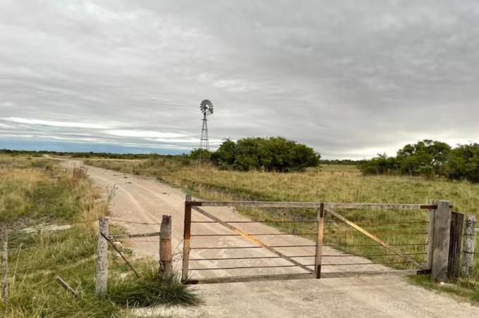 El mercado de campos se muestra activo y dinámico, pero con valores estables