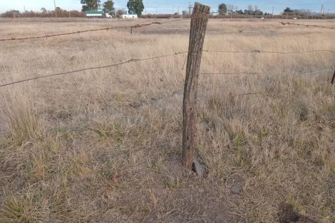 Cada cuatro días carnean y roban animales en los campos ganaderos de Coronel Pringles