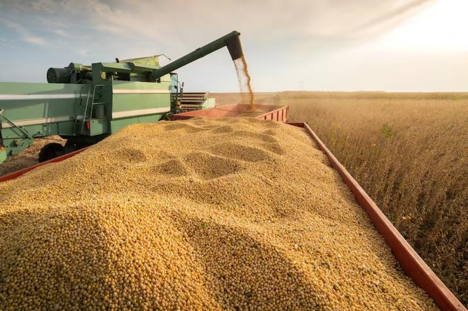 Sigue pensando si le van a levantar el cepo los motivos detrás de la caída de la liquidación de divisas del agro