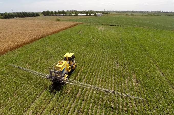 Hay dos causas sin solución revelan que los productores argentinos de soja cobran la mitad que sus pares uruguayos