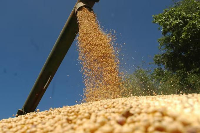 Lógico los exportadores calcularon que los productores tienen soja sin vender por más de US$10.000 millones y dieron un motivo