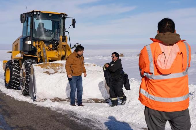 Es lamentable el gobernador de Santa Cruz alertó sobre una gran mortandad de animales por la nieve