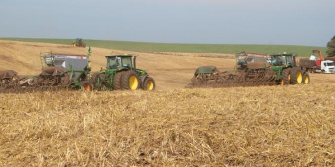 Conab asegura que Brasil logrará una buena cosecha de trigo a pesar del enorme retraso en las siembras