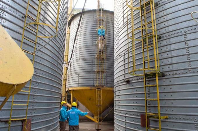 Detectaron 700 silos sin declarar en campos de la zona núcleo