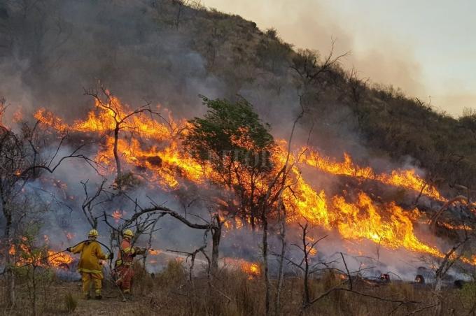 Comunicado de Prensa. Apoyo a la derogación de la Ley 27.604 sobre Manejo del Fuego.16/07/2024