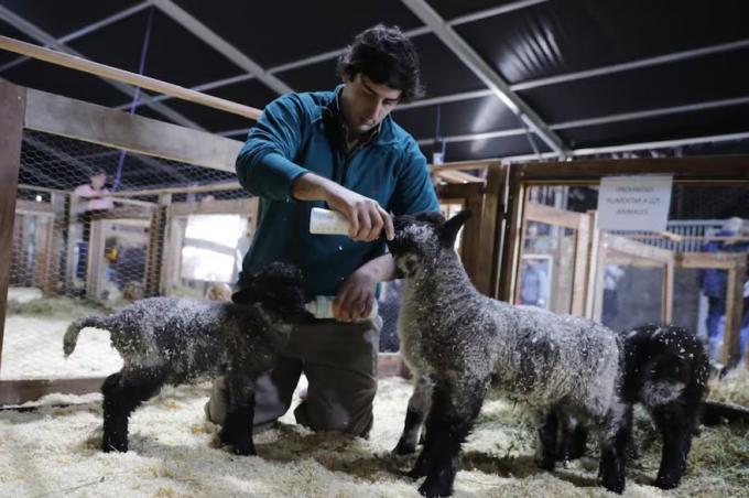 La Rural buen ánimo y expectativas por negocios entre los expositores