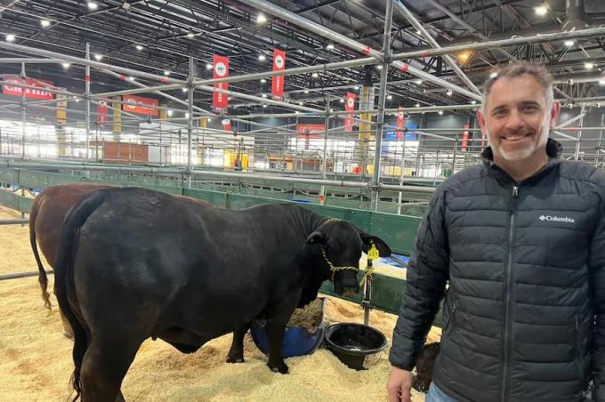 Exposición Rural de Palermo el show está en marcha y la genética es la gran protagonista