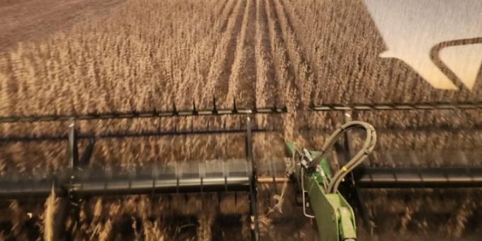 Explicación de la Bolsa de Cereales de Córdoba. Si no hay más divisas no es porque los productores acaparen sino porque se desplomaron los precios