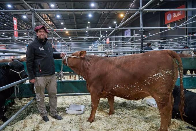 Emoción indescriptible viajó 1300 kilómetros siguiendo un camión y habla de una sensación única en la Rural