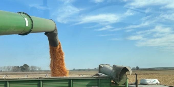 En el primer semestre el agro aportó más de 11.500 millones de dólares a la economía argentina y ningún otro sector (por ahora) puede suplantarlo