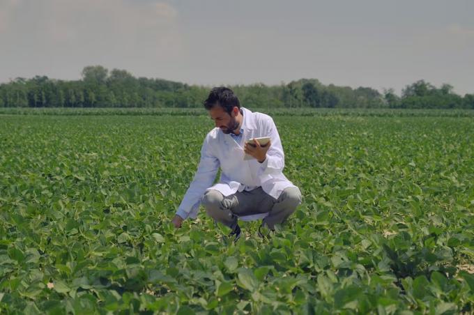 Alianza buscan medir la huella de carbono de un millón de hectáreas