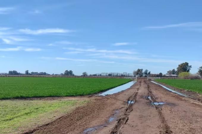 Vale oro. Santa Rosa fue generosa en gran parte de la región agrícola, aunque dejó esperando a algunas zonas