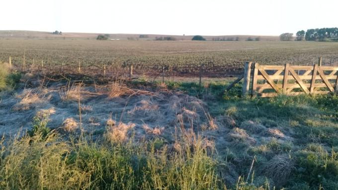 El frente frío, una ayudita para el campo y una escoba para el humo que llega desde Bolivia