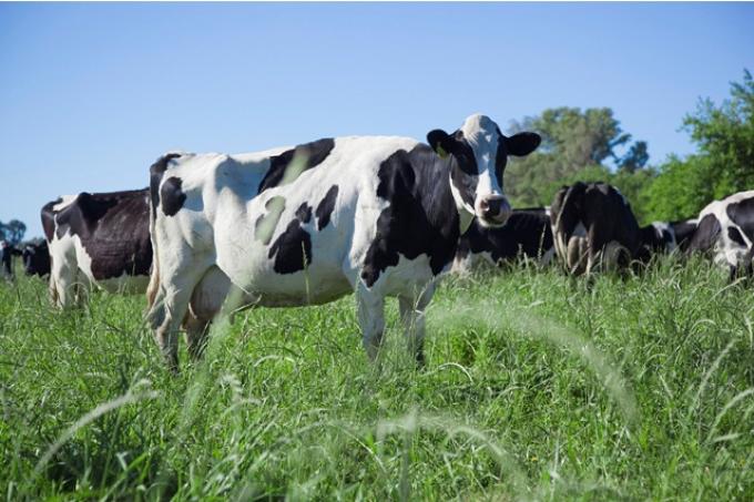 Créditos en litros de leche. El gobierno entregó en Santa Fe préstamos a tasa cero bonificados por la provincia