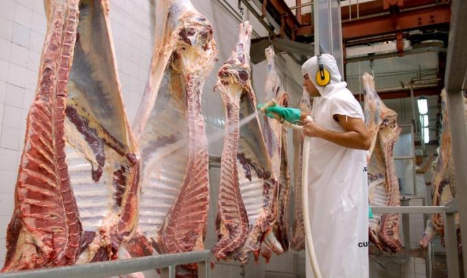 Mercados de carne vacuna las exportaciones crecieron un 23% en agosto