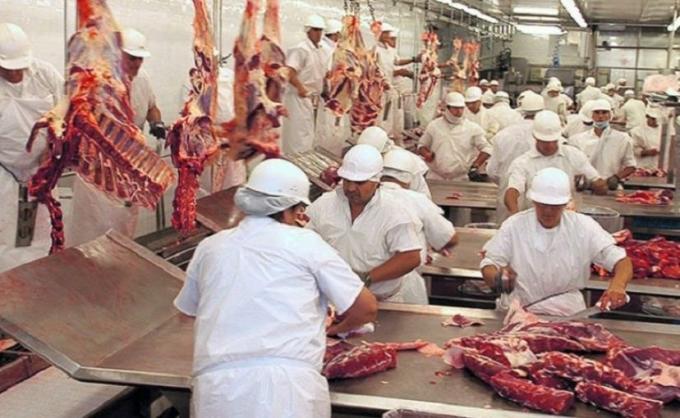 La faena y producción de carne vacuna, pero el consumo cae más y entonces es creciente la participación de las exportaciones