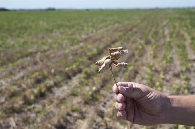 Los últimos pronósticos climáticos son desalentadores para el centro del país