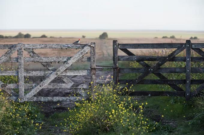 Factor que afecta alertan que el cepo sigue generando dudas entre los inversores en tierras