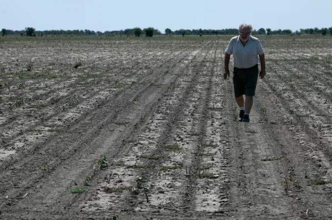 Sequía declararon la emergencia para el norte de Santa Fe y habrá prórrogas y condonación de impuestos