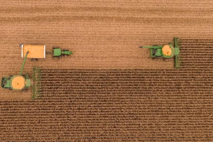 En Sudamérica el maíz comienza una campaña con final incierto en los campos y en las pizarras