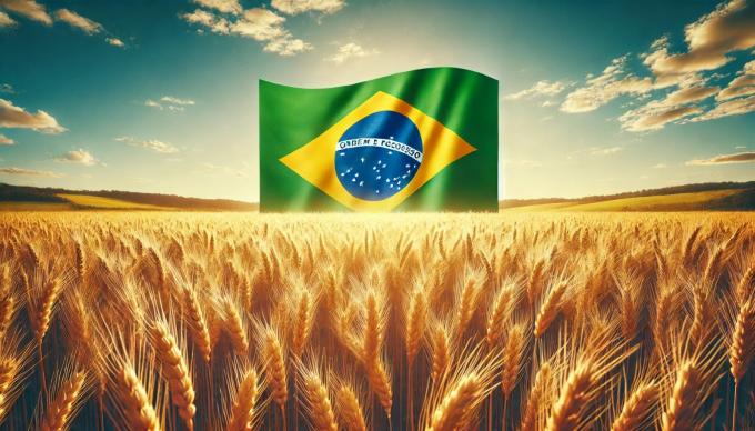 En Brasil estiman una producción de 9,59 millones de toneladas para el trigo