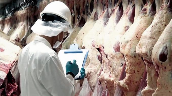 Aumento en las exportaciones de carne bovina en octubre con China como principal destino