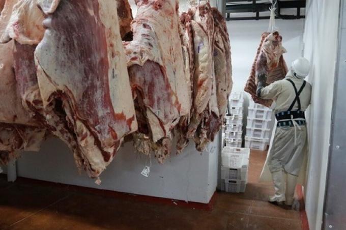 Caen los embarques de carne vacuna en el último mes, pero mantienen el récord anual