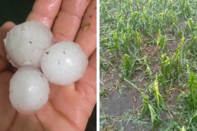 Tormenta enorme denunciaron graves daños en distintas regiones productivas por el generalizado temporal