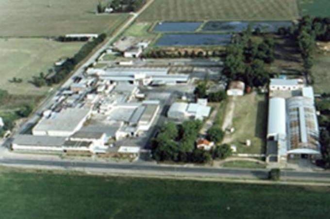 Nuevo escenario un frigorífico invirtió US$7 millones para exportar carne kosher